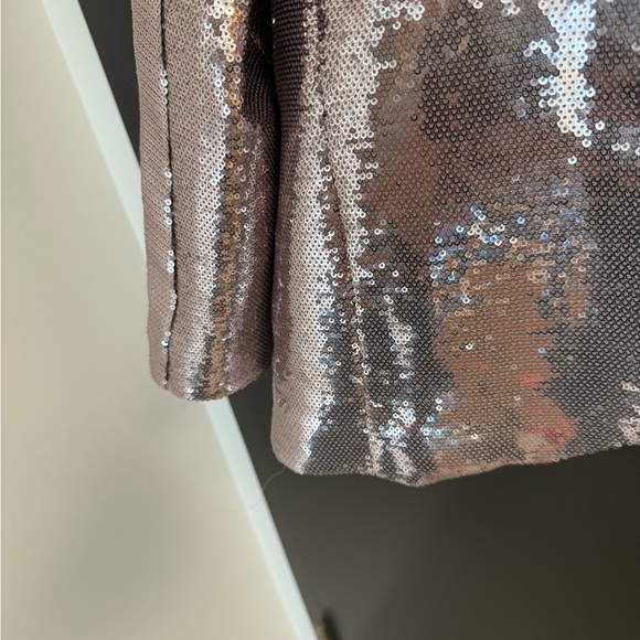 Avec Les Filles (Anthropologie) M EUC sequin Shimmering Silver/pink Blazer - Picture 6 of 14